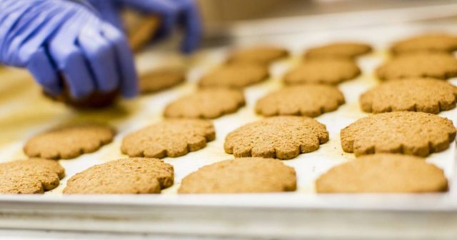 طريقة عمل بسكوت القمح