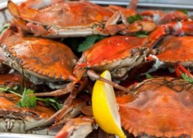 طريقة عمل الكابوريا بالخضار