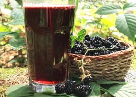 طريقة عمل شراب التوت لايت