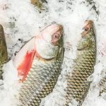 اسرع طريقة لتذويب السمك المجمد