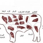 قطعيات اللحوم واستخداماتها