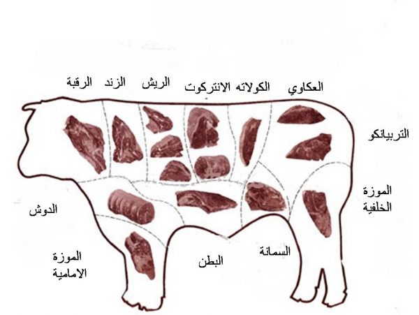 قطعيات اللحوم واستخداماتها