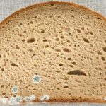 هل يمكن تناول الجزء الجيد من الخبز المتعفن؟