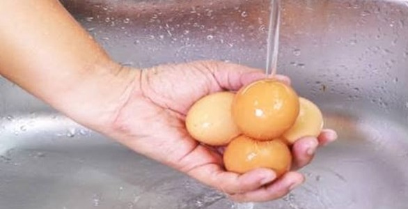 لماذا يفضل مسح البيض بفوطة بدلا من غسلة بالماء
