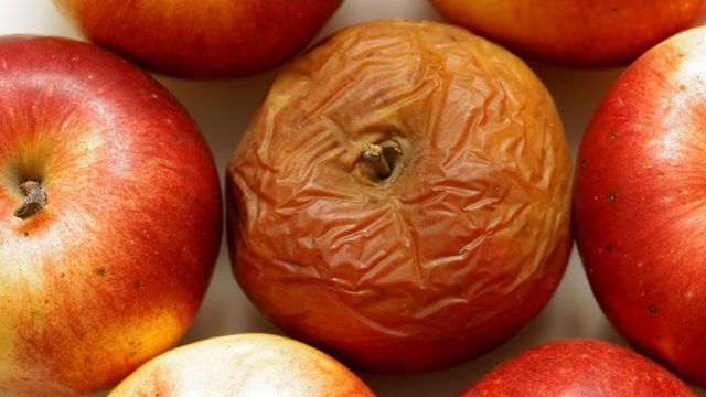طريقة حفظ التفاح ومنعه من التعفن