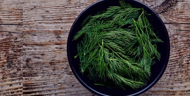 طريقة عمل محشي الشبت