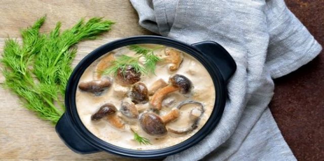 طريقة عمل صوص المشروم الأبيض