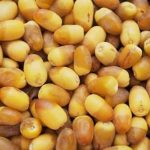 طريقة تخزين الرطب في الفريزر