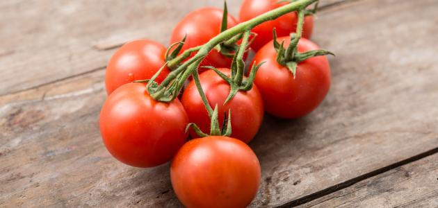 طريقة حفظ الطماطم بالفريزر