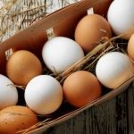 ما الفرق بين البيض البني والبيض الأبيض