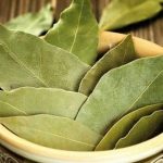 فوائد ورق الغار