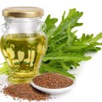 ما هي فوائد زيت الجرجير للبشرة؟