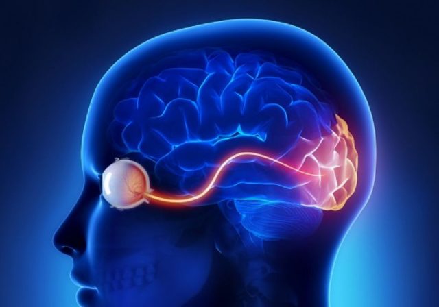 ما هي أعراض ضمور العصب البصري؟