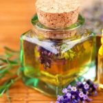 7 فوائد لعشبة العطرة