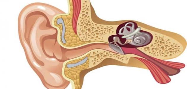 ما أعراض التهاب الأذن الوسطى ؟