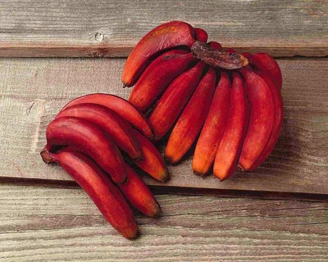 ما هي فوائد الموز الأحمر؟