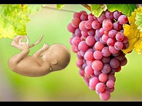 إزالة العنصر: فوائد عصير العنب الأحمر للحامل فوائد عصير العنب الأحمر للحامل