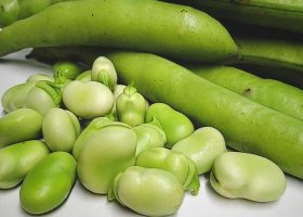 طريقة عمل بليلة بالفول الأخضر