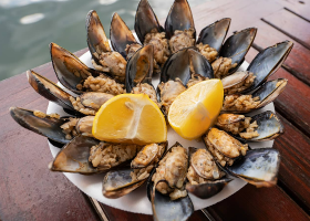 طريقة عمل الميديا التركية