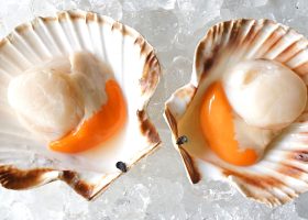 طريقة عمل الأسكالوب البحري