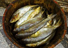 طريقة عمل الفسيخ على الطريقة المصرية