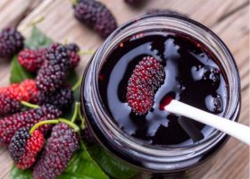 طريقة عمل مهلبية التوت الأسود بالريحان