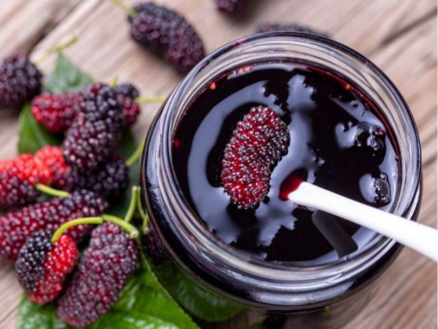 طريقة عمل مهلبية التوت الأسود بالريحان