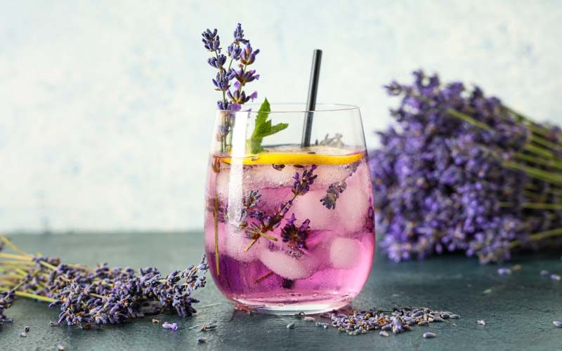 طريقة عمل مشروب اللافندر مع ماء الورد والفراولة