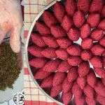 طريقة عمل كبة الشمندر الشامية